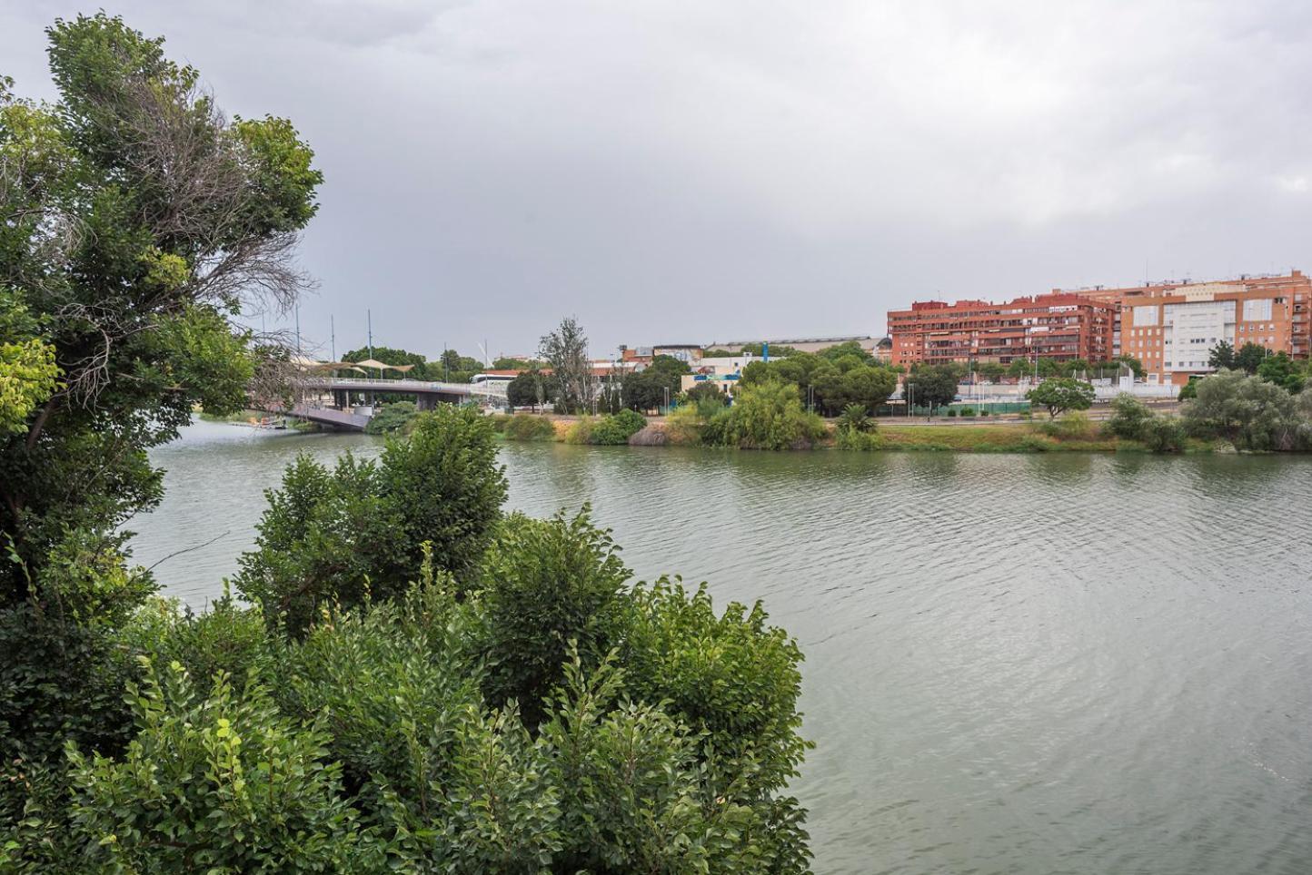 סביליה Alohamundi Castilla V-Vi מראה חיצוני תמונה